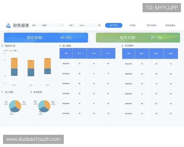 博鱼体育官网控股的财务状况与盈利能力全面分析报告