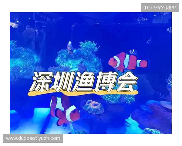 博鱼官方活动优惠不断，详细介绍各种福利礼包和参与方式帮助玩家轻松领取